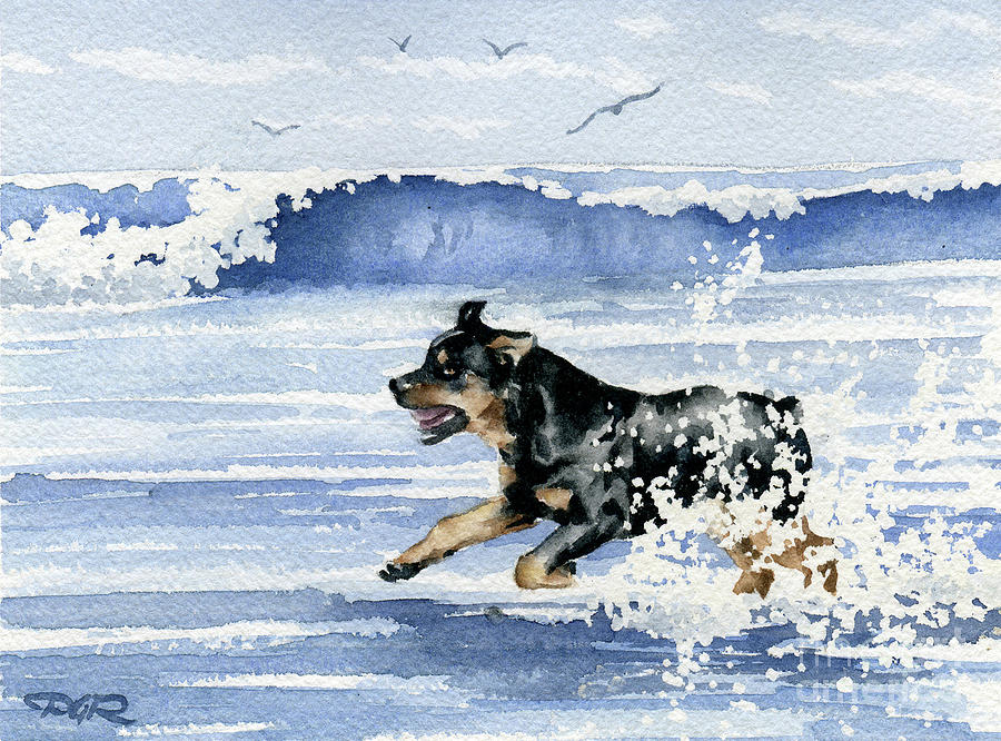 Rottweiler Painting - Rottweiler at the Beach  by David Rogers