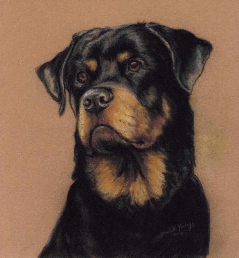 Rottweiler Painting by Charlotte Yealey