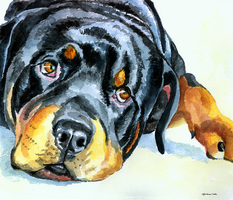 Dog Painting - Rottweiler by Lyn Cook
