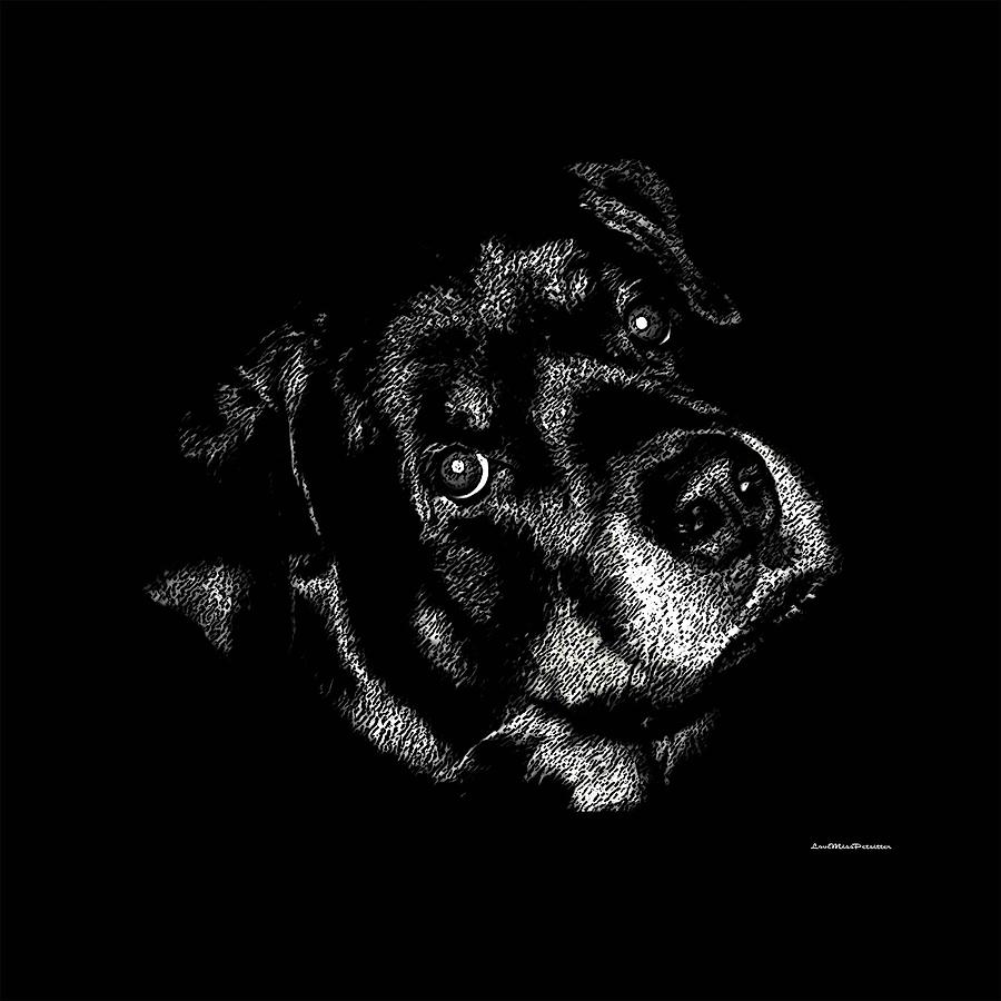 Arts Digital Art - Rottweiler Mozart Portrait by Miss Pet Sitter