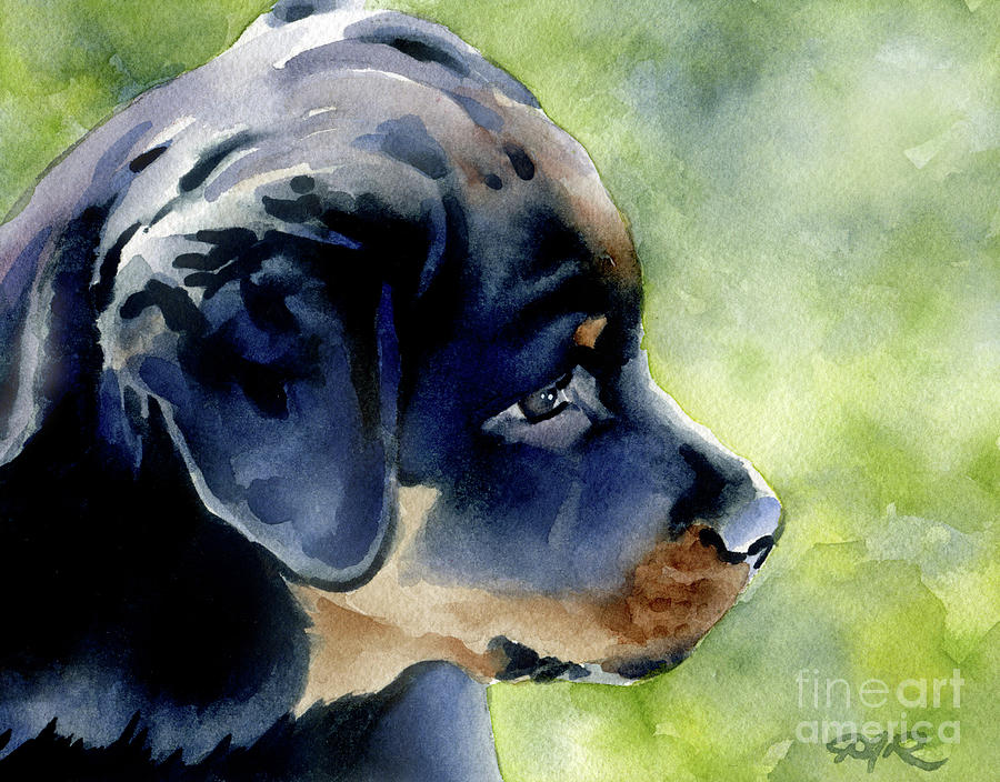 Rottweiler Painting - Rottweiler Puppy by David Rogers
