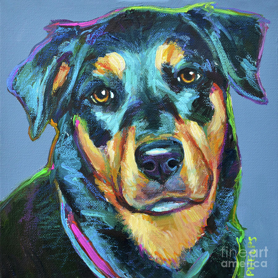 Rottweiler Painting By Robert Phelps Fine Art America