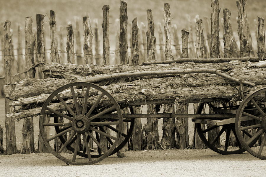 Rough Logs on Wooden Cart in Front of Rustic Fence in Sepia Photograph by Colleen Cornelius