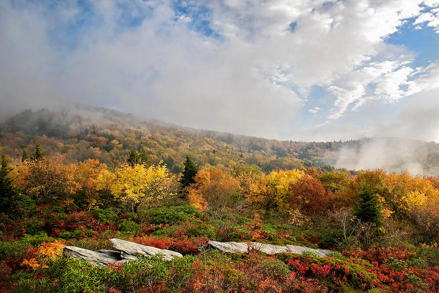 Rough Ridge Autumn, Blue Ridge Parkway S by Tommy White Rough Ridge Autumn, Blue Ridge Parkway S by Tommy White