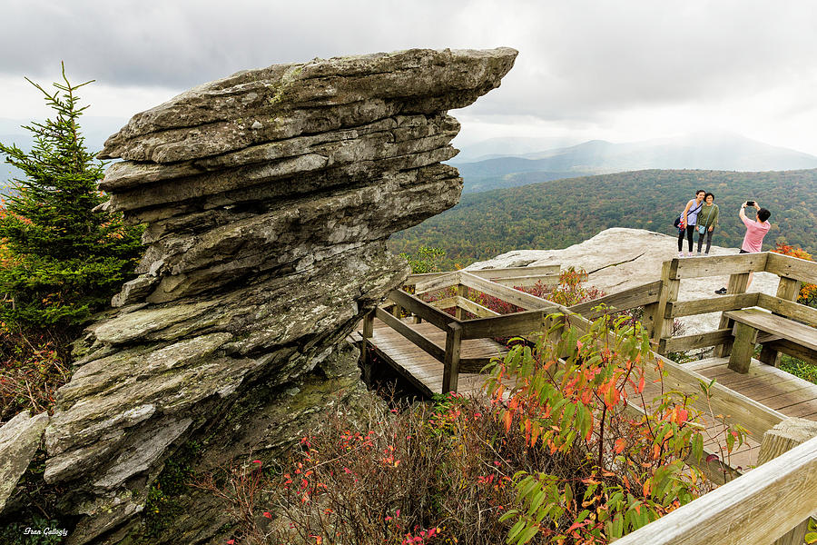 Rough Ridge in Autumn Photograph by Fran Gallogly