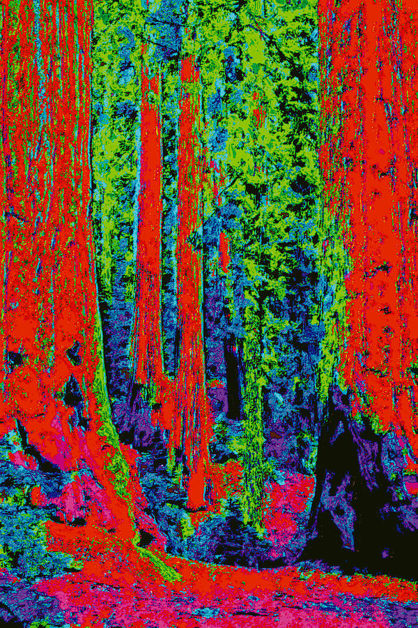 Rough Trees d5b Digital Art by Modified Image