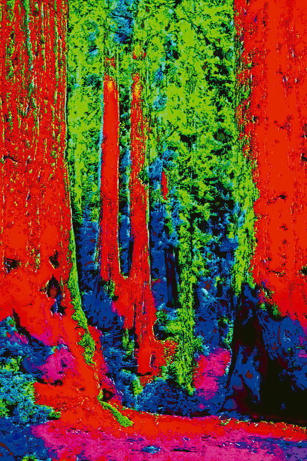 Rough Trees dd5b Digital Art by Modified Image
