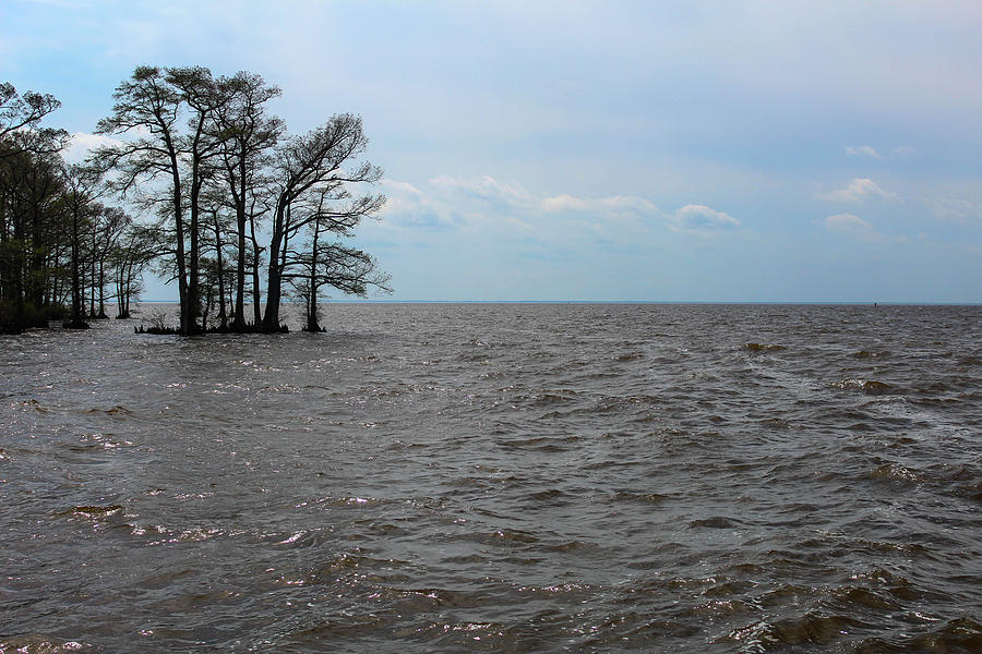 Rough Waters On The Albemarle Sound Photograph
