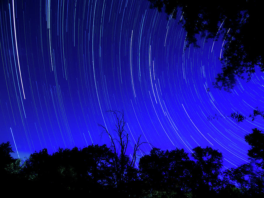 Round and Round Photograph by Michele James | Fine Art America