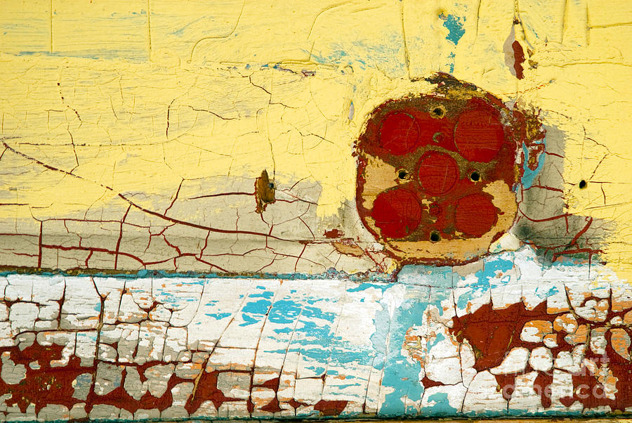 Peeling Paint Photograph - Round And Round We Go by DebraLee Wiseberg Peeling Paint Photograph - Round And Round We Go by DebraLee Wiseberg