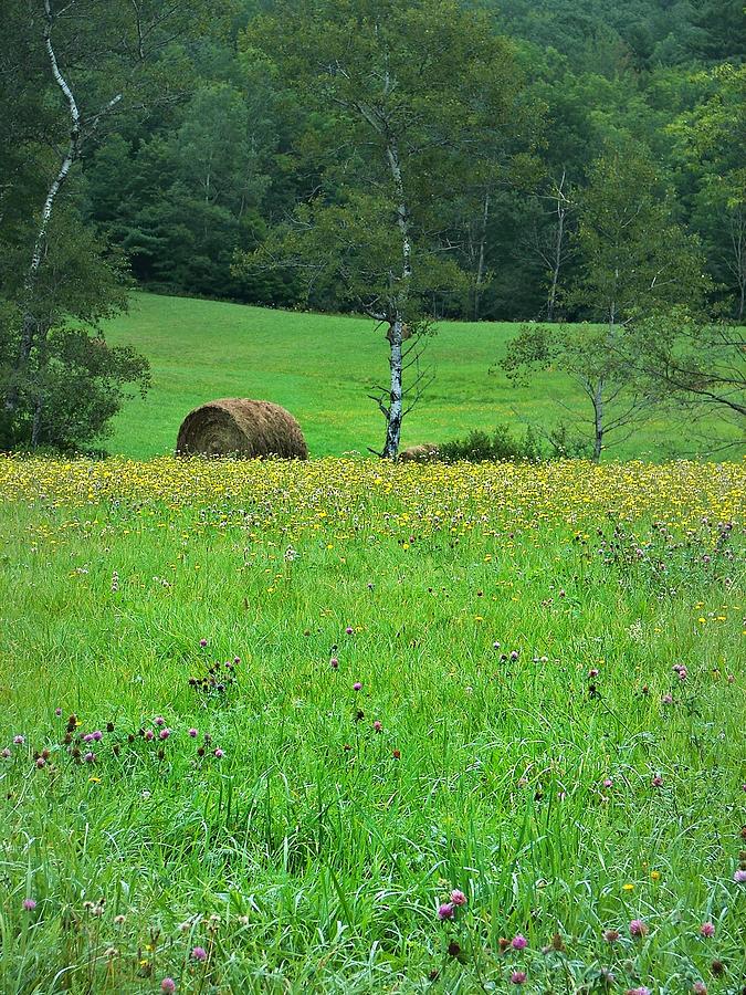 Round Bale and Wildflowers Photograph by Joy Nichols