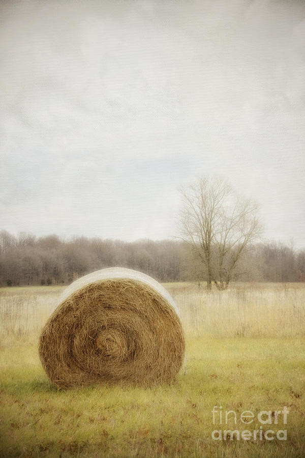 Round Bale OHay Photograph by Diane Enright