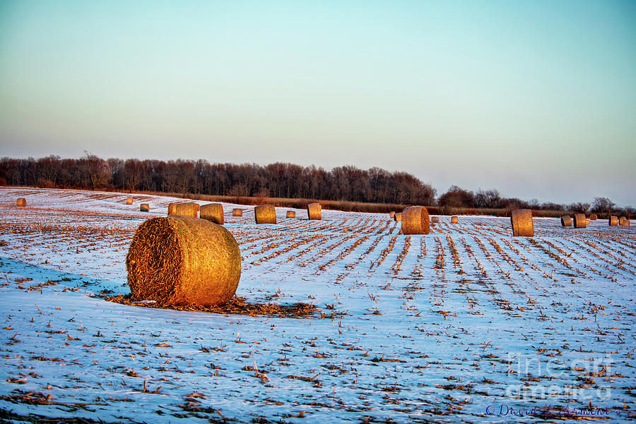 Round Bales Photograph by David Arment