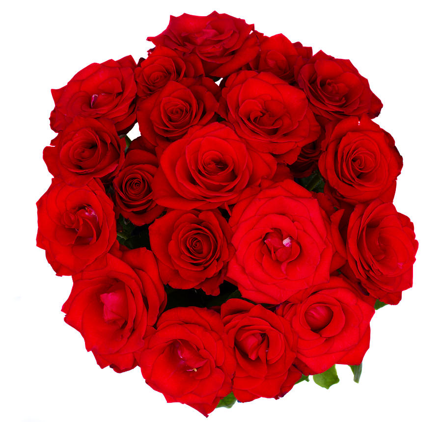 Round Bouquet of Red Roses Photograph by Anastasy Yarmolovich