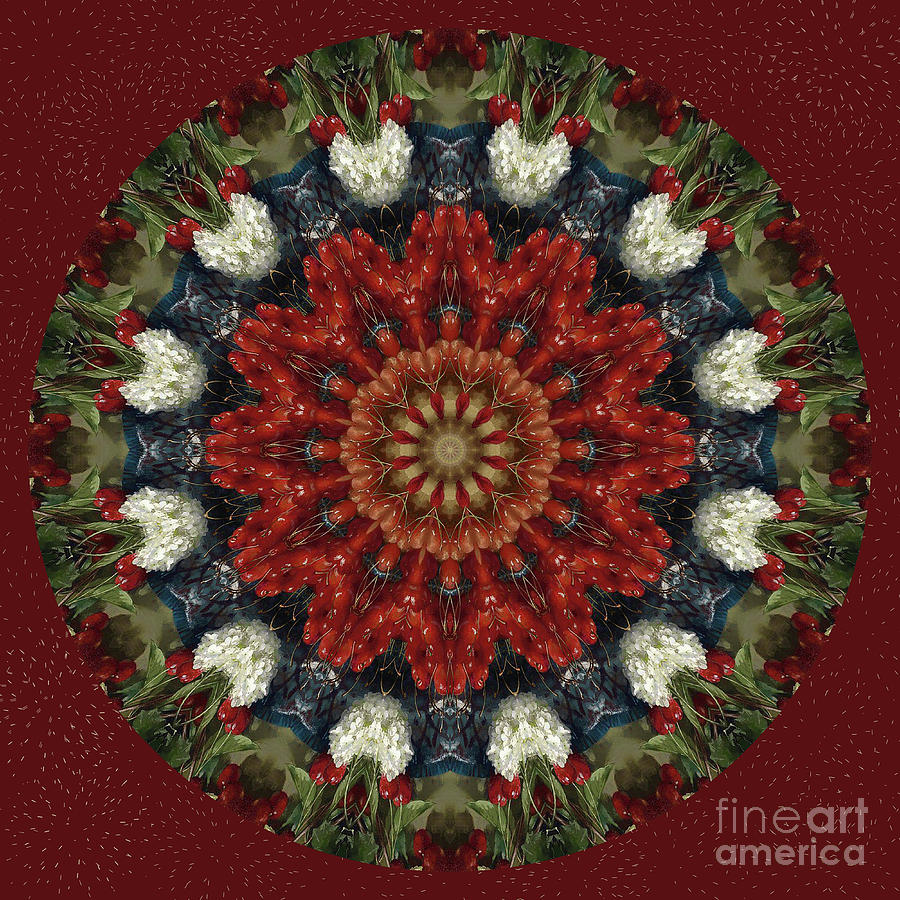 Round Fruit Kaleidoscope Digital Art