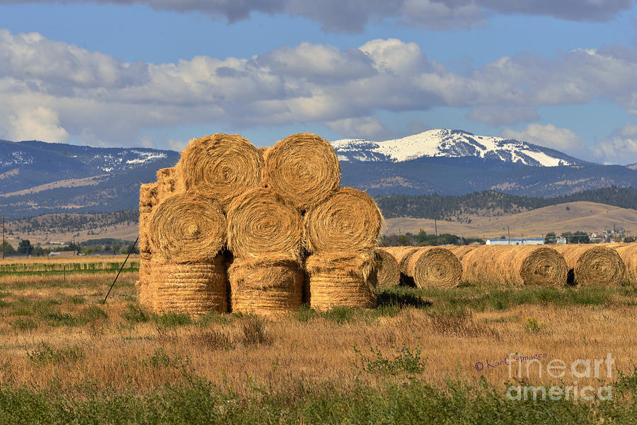 Rural Scene Photograph - Round Hay Bales and Mountain by Kae Cheatham