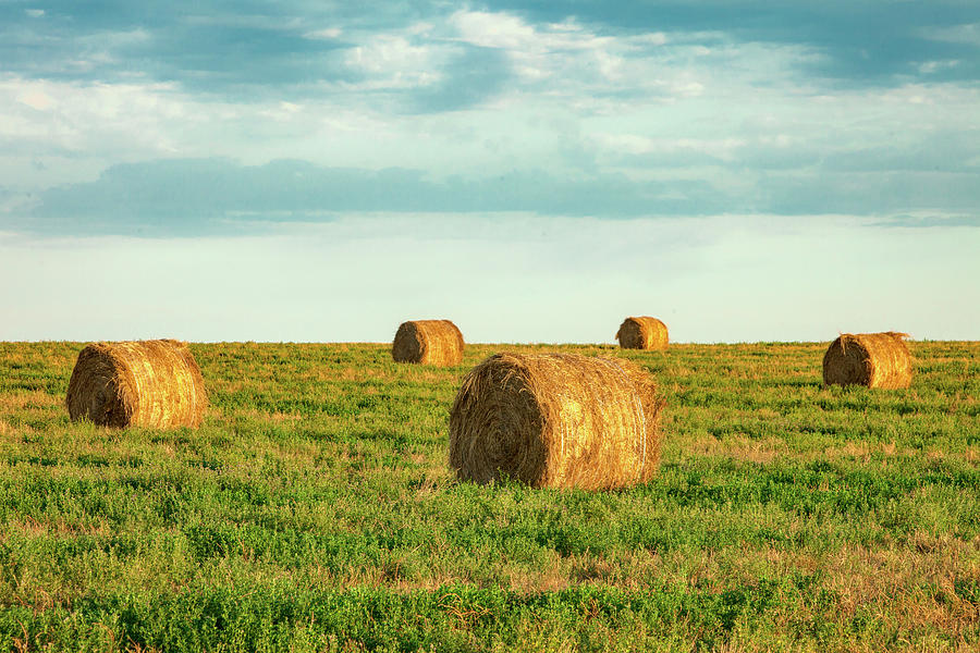 Round Hay Bales Photograph by Todd Klassy