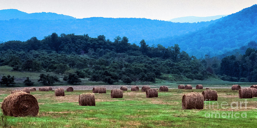 Round Hay Bales, Virginia Photograph by Thomas R Fletcher