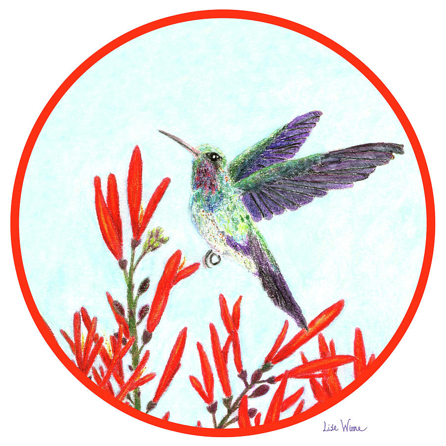Round Hummingbird in Opening Painting by Lise Winne