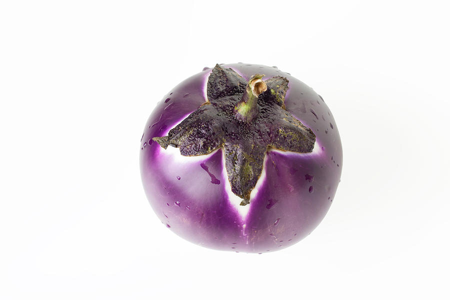Fruit Pyrography - Round purple eggplant. by Oleg Begunenco