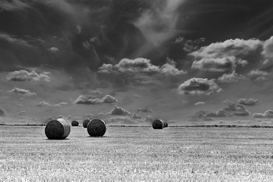 Round Straw Bales Landscape Photograph by John Williams