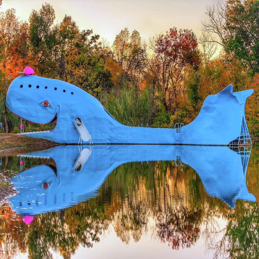 Oklahoma Route 66 Blue Whale Art - Square Format Photograph