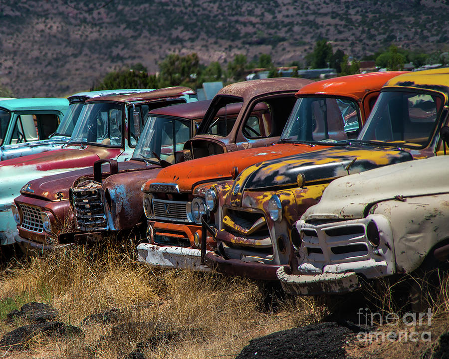 Route 66 Car Lot Photograph by Stephen Whalen