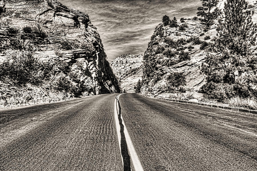 Route 9 Zion National Park Photograph by Roger Passman