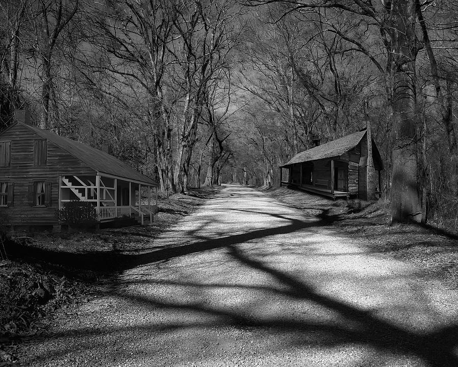 Route de la Louisiane Photograph by Cecil Fuselier
