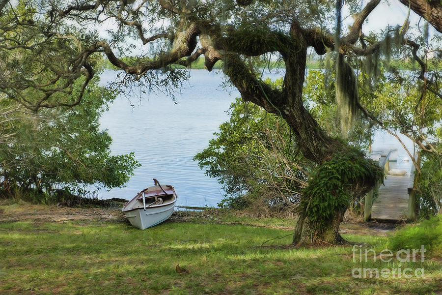 Row Boat in Florida Photograph by David Arment