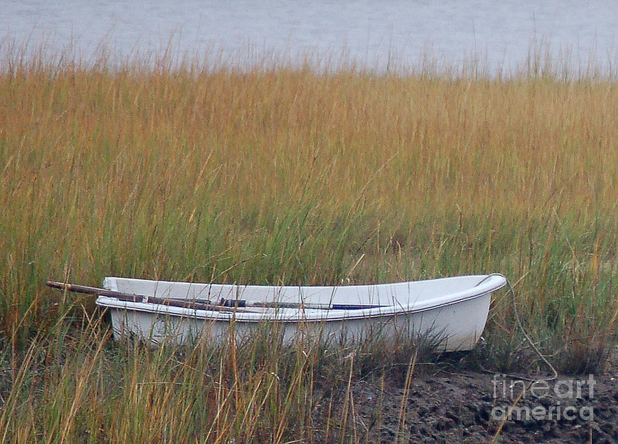 Row Boat in Marsh Digital Art by Dianne Morgado