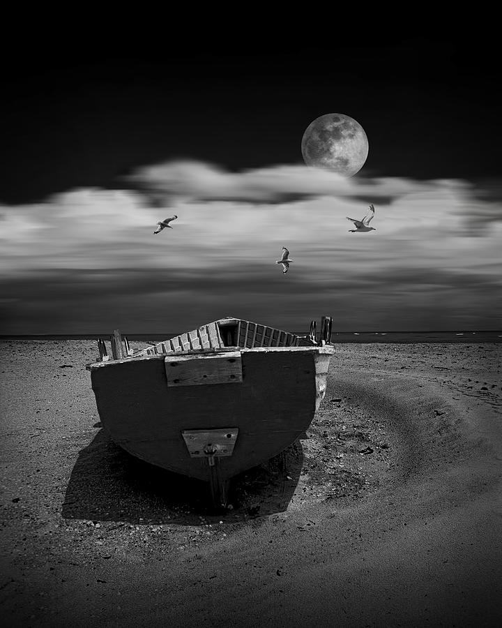 Row Boat on a Sandy Beach in Biscayne Bay Florida with Flying Gulls under the Moon  Photograph by Randall Nyhof