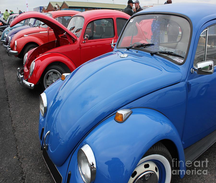 Car Photograph - Row of Beetles by Vicki Spindler