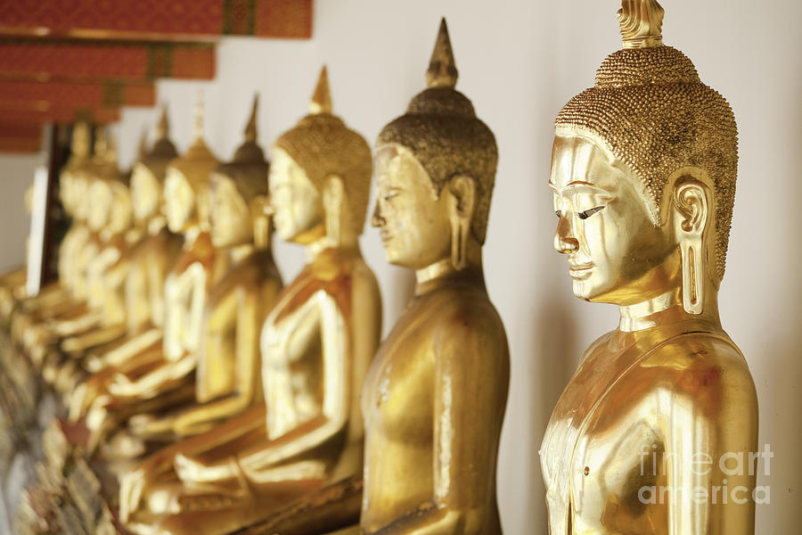 Row of Buddhas Photograph by Anthony Totah