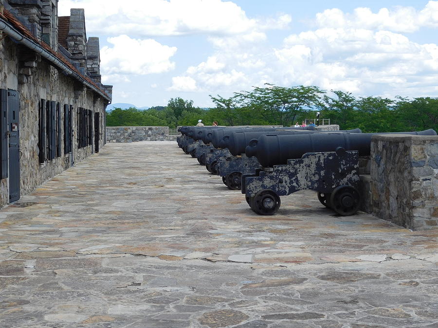 Row of Cannons Photograph by Catherine Gagne