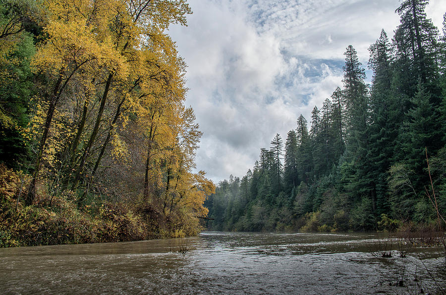Row of Color on Eel River Photograph by Greg Nyquist