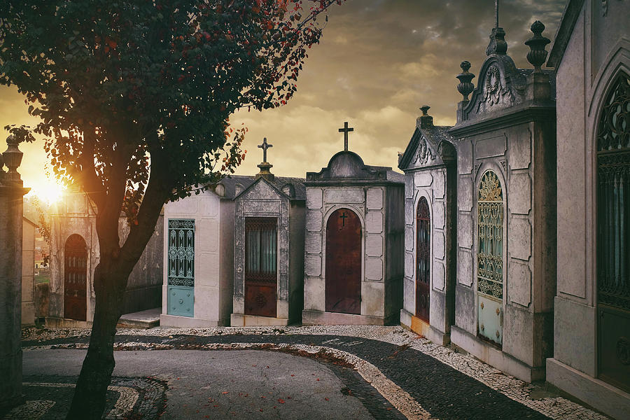 Row of Crypts Photograph by Carlos Caetano