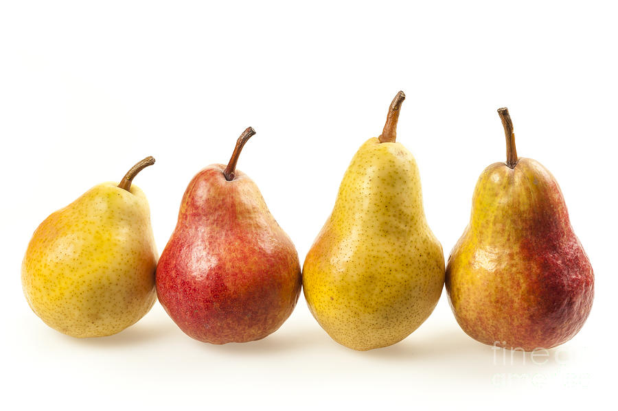 Row of pears Photograph by Elena Elisseeva