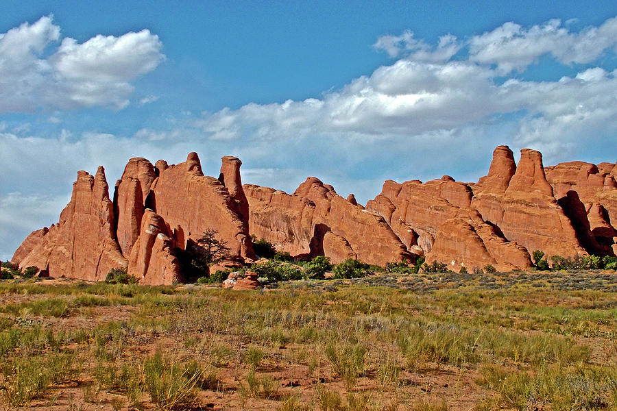 Row of Rock Fins in Arches National Park, Utah  Photograph by Ruth Hager