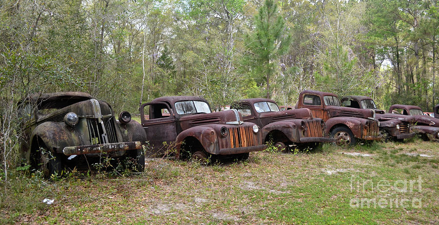 Row of Rusty Resting Ford Pickups Photograph by Ron Long