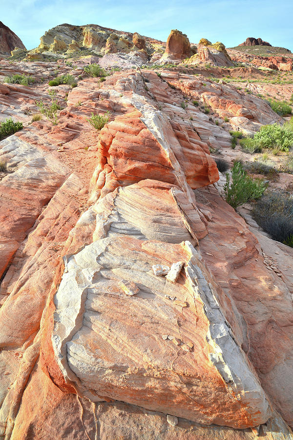 Row of Sandstone in Valley of Fire Photograph by Ray Mathis