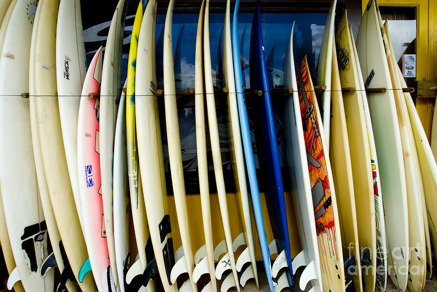 Rent Movie Photograph - Row of Surfboards by Ray Laskowitz - Printscapes
