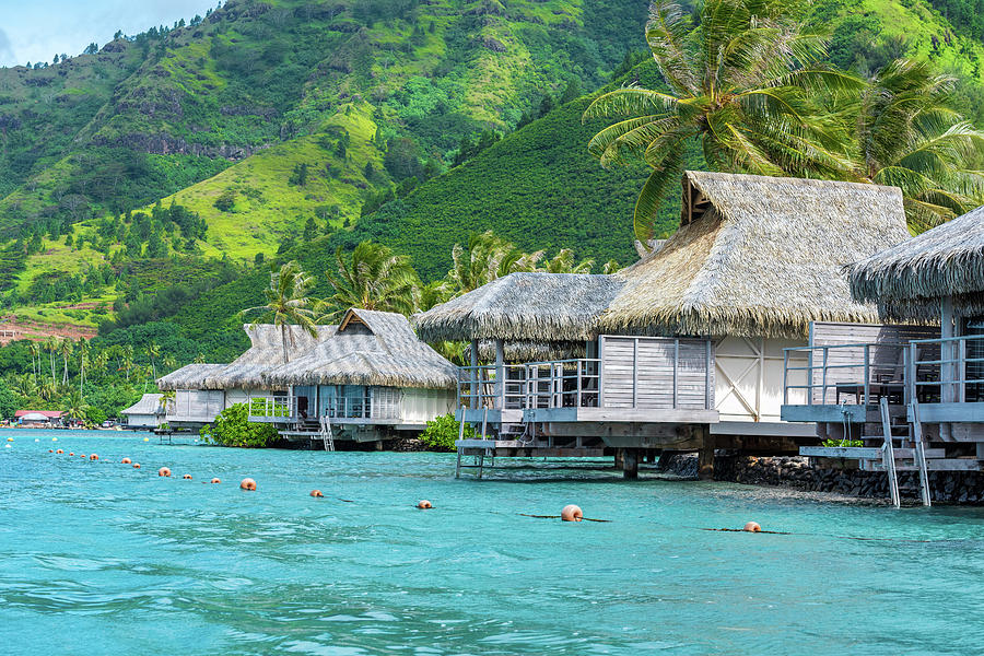 Row of Thatched Huts Photograph by Joe Benning | Fine Art America