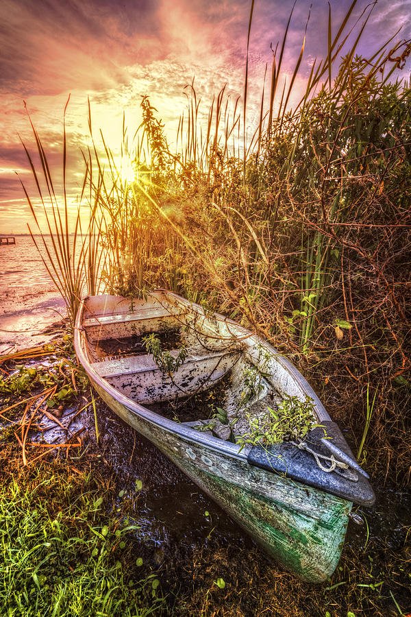 Rowboat in the Sun Photograph by Debra and Dave Vanderlaan