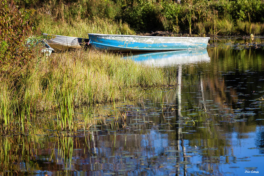 Rowboats Photograph by Fran Gallogly