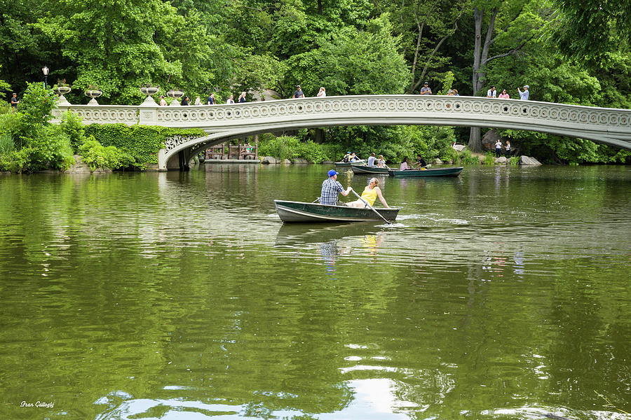 Rowing by the Bow Bridge Photograph by Fran Gallogly