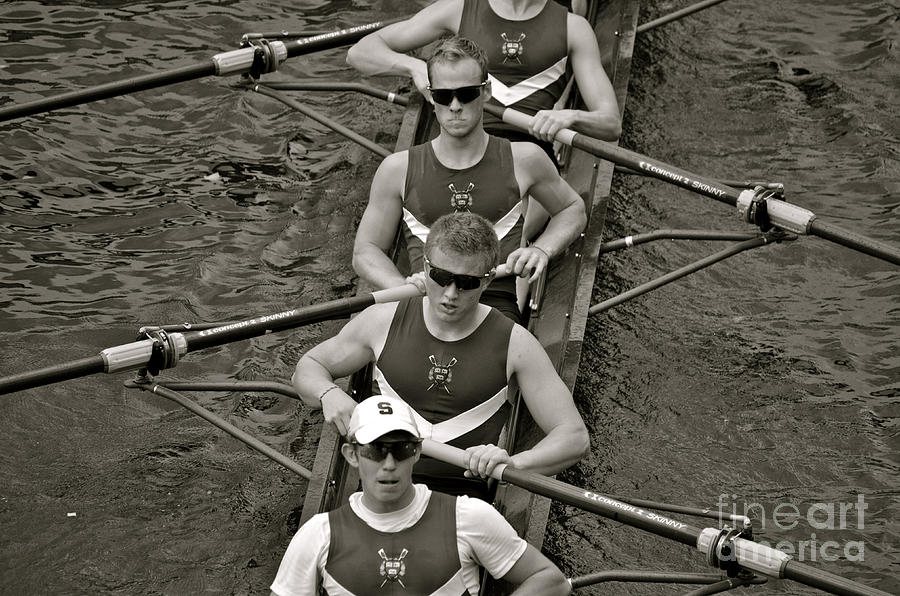 Rowing At The Regatta Photograph