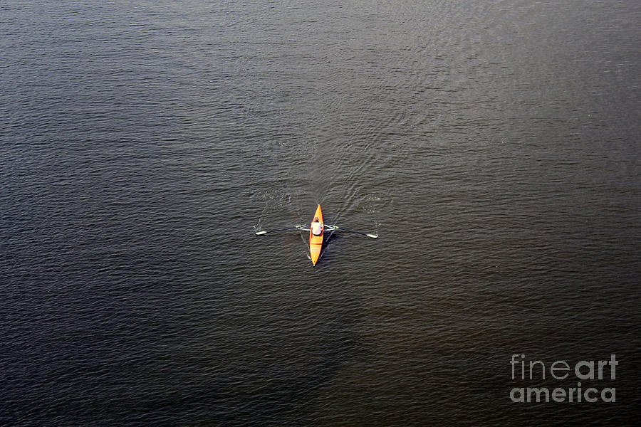 Rowing Photograph by Maxine Kamin