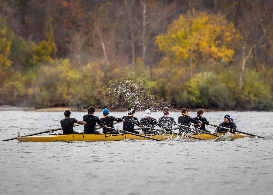 Rowing Regatta Photograph by Ron Pate