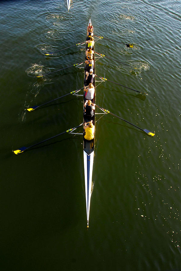 Rowing work 11 Photograph by David Lee Thompson